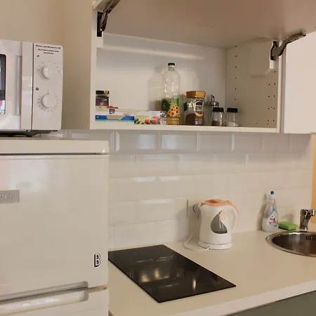 Nejedleho Apartmeet Апартаменты Прага